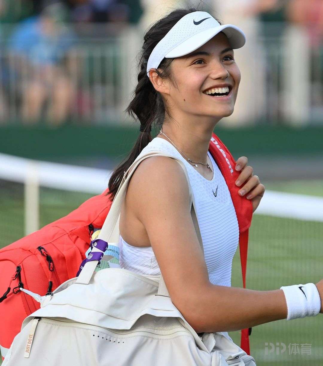 普及已经悄 普及已经悄