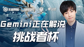 像萨内这样 像萨内这样